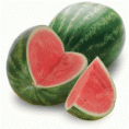 SANDIA RAYADA